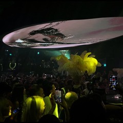 Black Coffee Summer 2025 Inspired Set