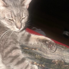 Can’t relate (prod. Tob x tapekid)