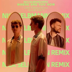 Lost Frequencies ft. Calum Scott - Where Are You Now (Nick Selbmann Remix)