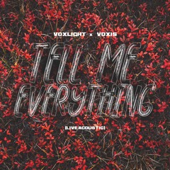 Voxis - Tell me everything (live acoustic version)