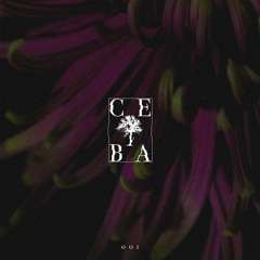 Abstract Division - Planet Zero (Original Mix)- CEIBA [PREMIERE]