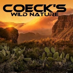 Coeck's - Wild Nature (Original Mix)