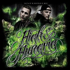 Hektik (feat. Omik K.) - Gzuz & Bonez MC
