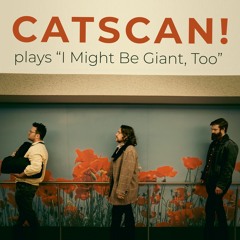 They Might Be Giants (Vagabond Joy cover)