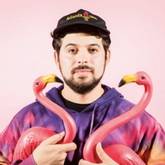 EARMILK Presents: Flamingosis