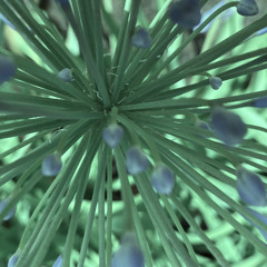 I need you to tell me what you think, would be nice