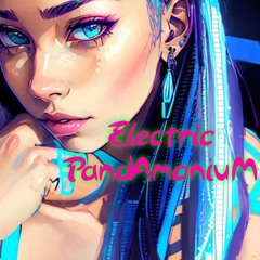 ELECTRIC PANDAMONIUM APARTMENT HEATERS