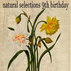 Wittak - Natural Selections 9th Birthday [Studio rec]