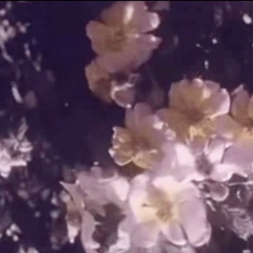 You wrote all the protection spells