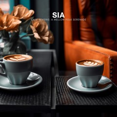 Café Reverie: A Mellow Folk Serenade