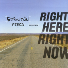 Fatboy Slim - Right Here, Right Now (PESCA Remix)