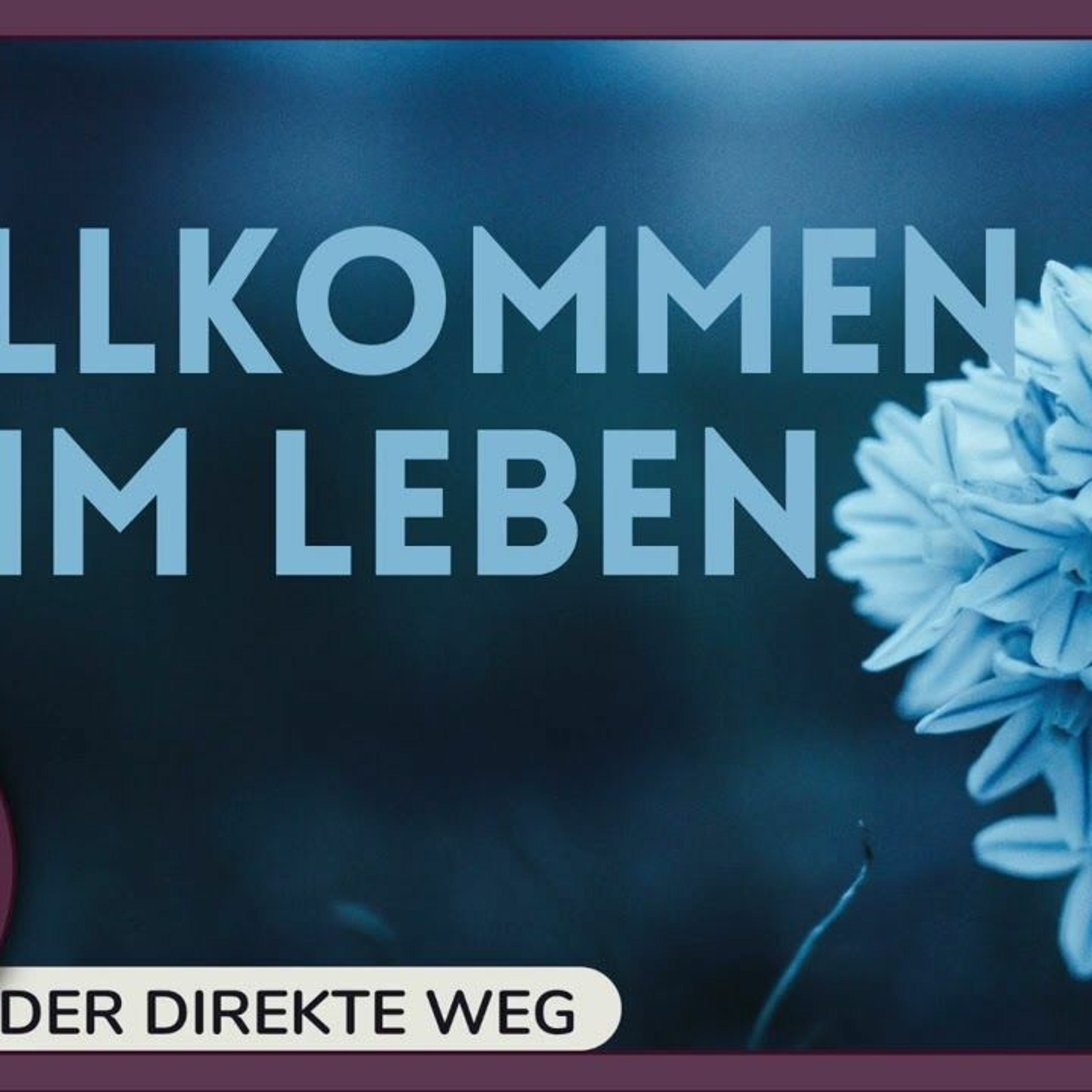 Gottfried Sumser - DER DIREKTE WEG - Ein Kurs in Wundern