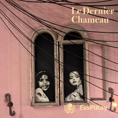 Dernier Chameau [Spring Edit]