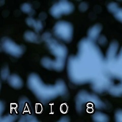 Radio 8 (Shi) - Nguyễn Đình Toàn