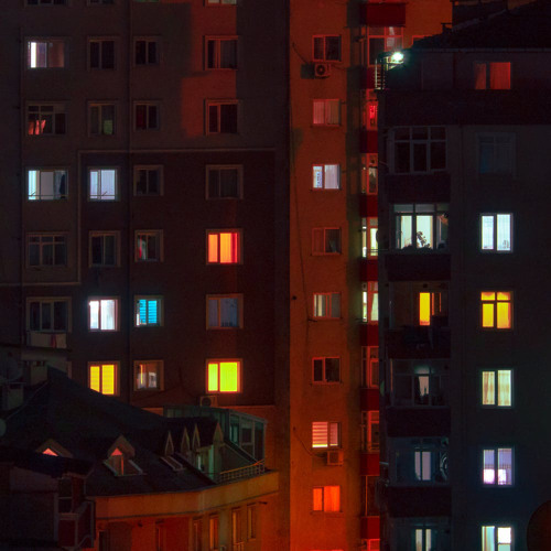 indigo night - tamino (cover)