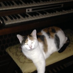 losing control prod aloa