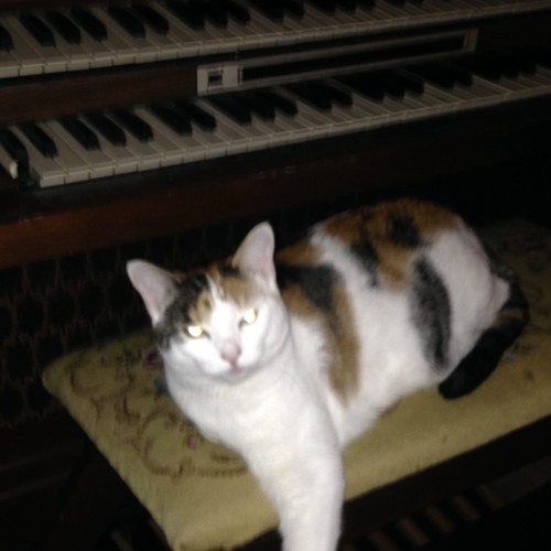 losing control prod aloa