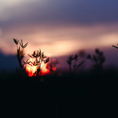 Life Full Of Solstice