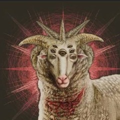 SHEVA KEVASIM (42 43 44.5)