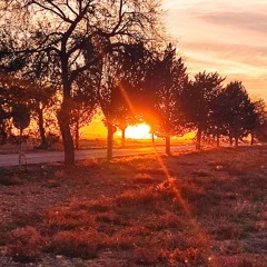 compo20241205 (La luz del atardecer)