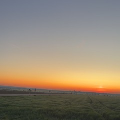 Antøx- So Cold (one Pattern)