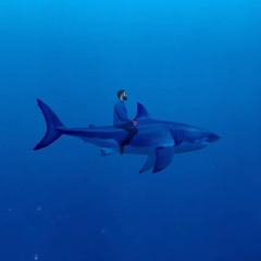 SHARK RAP (prod. by Enrgy Beats)