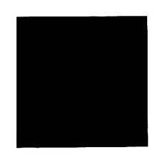 Suffix's Bone Black Mix 2018