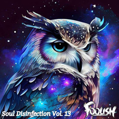 Soul Disinfection Vol. 13