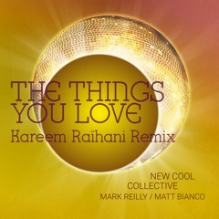 The Things You Love - Kareem Raïhani Remix
