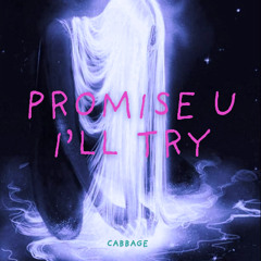 promise u i'll try ☻ CABBAGE (prod. metlast)