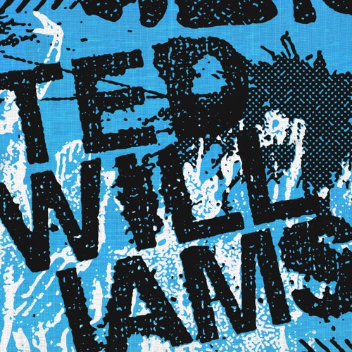 ted williams - Be Like Panda, Tacos and Tequila