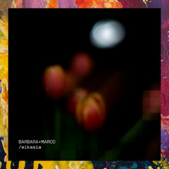 PREMIERE: Barbara+Marco — Life On Other Planets [Secret Lovers Records]