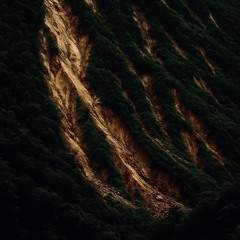 Born in a Landslide