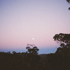 Sui Zhen 270125