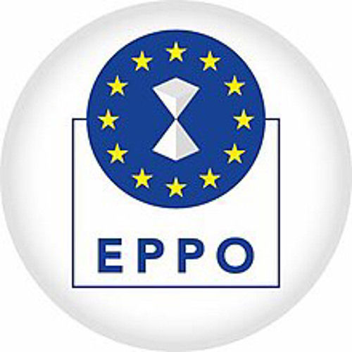 Bruxelles Europe l Parquet européen EPPO Eurojust | by Émilie Vanderhulst.wav