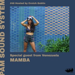 PAM Sound System @RCV99fm - Episode #48 - Special Guest : MAMBA