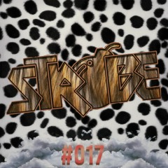 Strobe #017