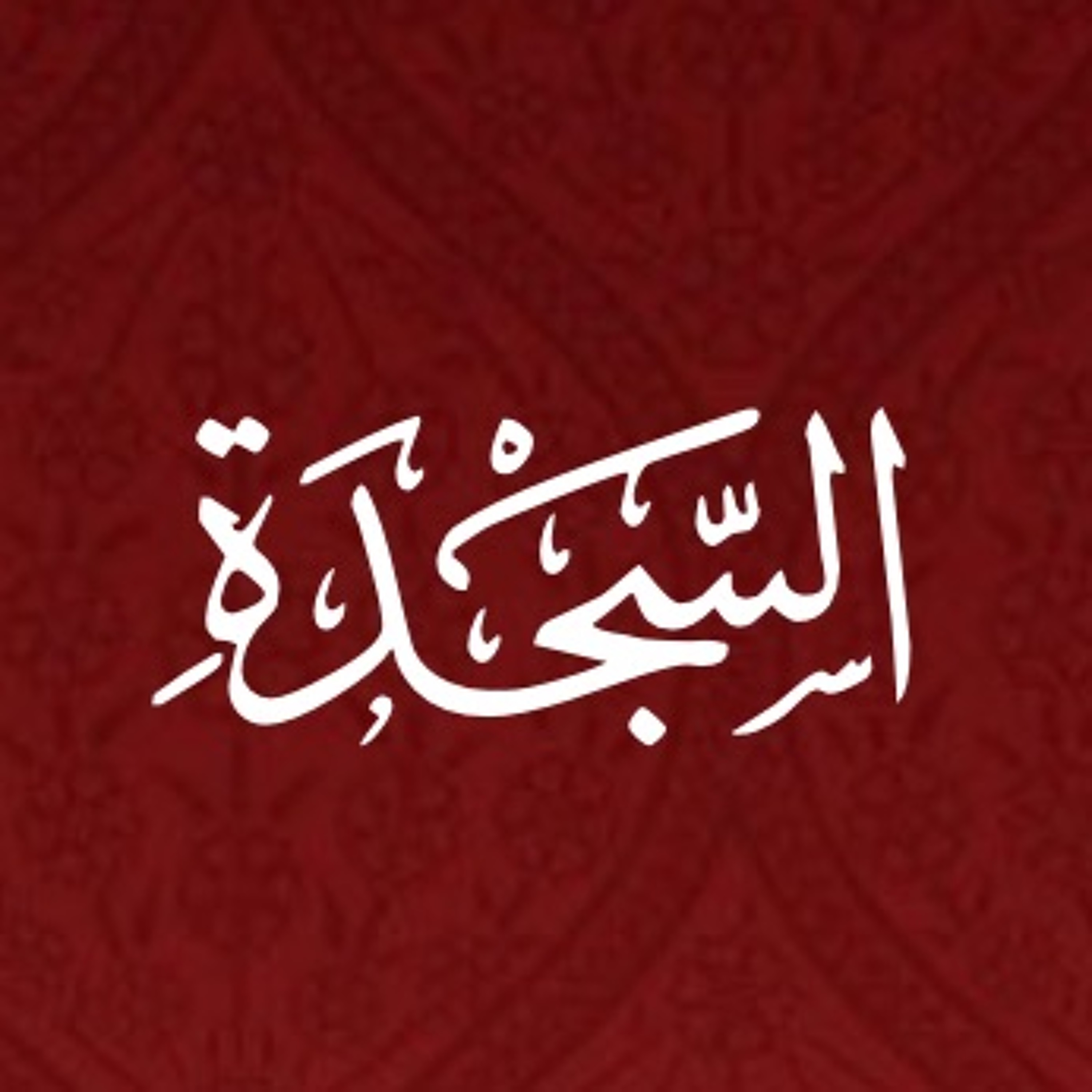 Quran Urdu Translation
