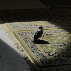 قرآن