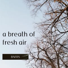 a breath of fresh air