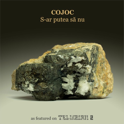 Cojoc - S-ar Putea Sa Nu (snippet)