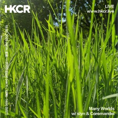 Many Worlds w/ slyn & Coromandel - 19/05/2025