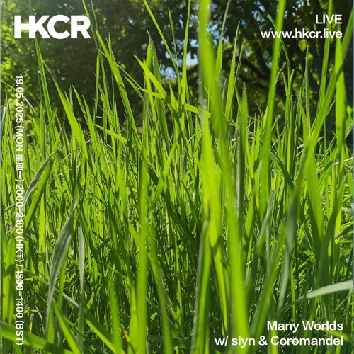 Many Worlds w/ slyn & Coromandel - 19/05/2025