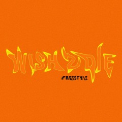 Talha Anjum - WISH 2 DIE FREESTYLE (ft. Savage & Shareh) | Prod. by Umair