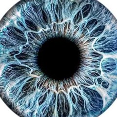 ARTISANWILD “20/5”.m4a (Live)