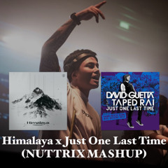 Himalaya x Just One Last Time (NUTTRIX MASHUP)**FREE DOWNLOAD**