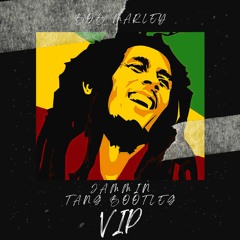 Bob Marley - Jammin (Tang Bootleg) VIP [Free Download]