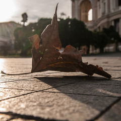 Rain -The Hardkiss - Piano arrange