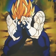 Unknown feeling x Vegeta speech