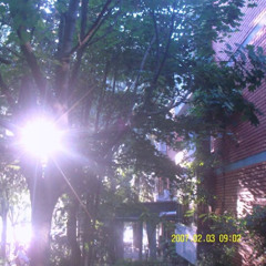 locked (perculus + sharpboii)